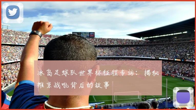 冰岛足球队世界杯征程专访：揭秘维京战吼背后的故事